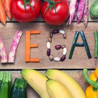 Vegan  at Vegan Primary Care in Palm Harbor