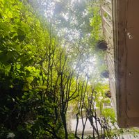  at La Cabra Iluminada in San Miguel De Allende