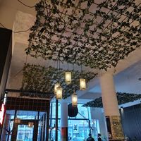  at Vegan Pizza Bar in Rotterdam