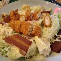  at Vegan Pizza Bar in Rotterdam