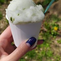 Lemon basil sorbet. No vegan waffle available, so unfortunately no zero waste at Notting Hill Café in Munich