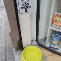 Pets welcome at Som Vegans in Barcelona