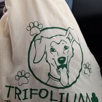 Selling soli-bags at Som Vegans in Barcelona