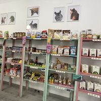   at Som Vegans in Barcelona