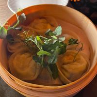 Vegetable Gyoza at Takato in Fort Lauderdale
