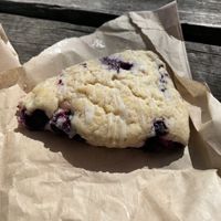 Blueberry scone vegan at Source Coffeehouse in Bridgeport
