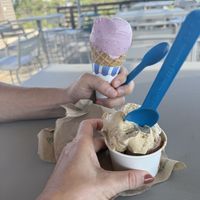 New Zealand in the back (not vegan) and vegan gelato (caramel coffee and chocolate)  at Happy Cones Co in Edgewater