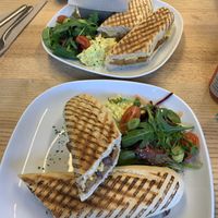   at Vegan Earth in Ayr