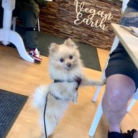   at Vegan Earth in Ayr