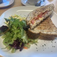   at Vegan Earth in Ayr