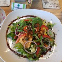 Buddha Bowl at Vegan Earth in Ayr