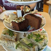  at Vegan Earth in Ayr