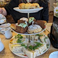  at Vegan Earth in Ayr