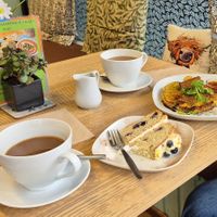 Tasty, tasty, tasty. at Vegan Earth in Ayr