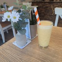  at Vegan Earth in Ayr