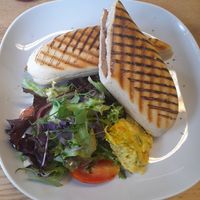  at Vegan Earth in Ayr