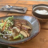 Vegan duck in soy sauce  at Pholosophy in Leipzig