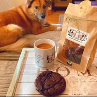 Soooo delicious 🤤💞🌱 at New Dawn Vegan Coffee Shop in Borrowdale