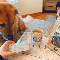 My dog Lukie was super impressed with his treats too 🥰 at New Dawn Vegan Coffee Shop in Borrowdale