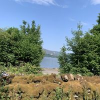   at New Dawn Vegan Coffee Shop in Borrowdale