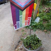  at New Dawn Vegan Coffee Shop in Borrowdale