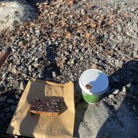   at New Dawn Vegan Coffee Shop in Borrowdale