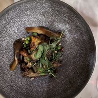 Fricassee of local mushrooms, ramps, chanterelles, peas, spinach at Roselily in South Bend