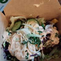  at Rebels in Bamberg