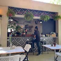 In the backyard of Corazón Contento. They live up to the name! at Corazon Contento PDC in Playa Del Carmen