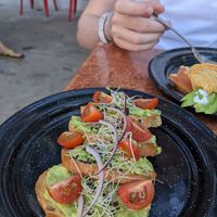 Breakfast: avocado toasts at Corazon Contento PDC in Playa Del Carmen