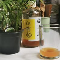  at Corazon Contento PDC in Playa Del Carmen