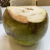 Fresh coconut  at Corazon Contento PDC in Playa Del Carmen