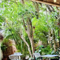 Lovely outside seating area   at Corazon Contento PDC in Playa Del Carmen