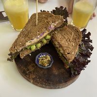   at Corazon Contento PDC in Playa Del Carmen