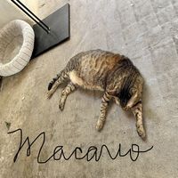   at Corazon Contento PDC in Playa Del Carmen