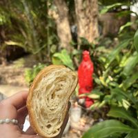   at Corazon Contento PDC in Playa Del Carmen