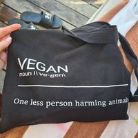  at Corazon Contento PDC in Playa Del Carmen