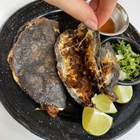   at Corazon Contento PDC in Playa Del Carmen