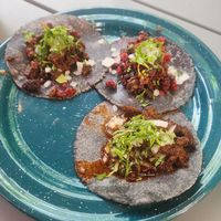 Go for any of the tacos! at Corazon Contento PDC in Playa Del Carmen