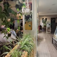  at Eco Cafe in Tashkent