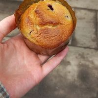 blueberry muffin at Fine Schmecker in Monheim Am Rhein