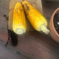 Grilled corn vegan option  at Bali Govinda in Maleny