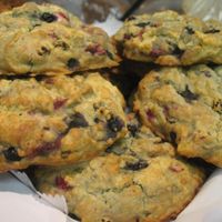 Gluten Free and Vegan Unsweetened Berry Scones at Portsmouth Health Foods in Portsmouth