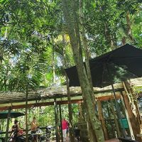 Cafe veranda at LEAF in Mount Glorious