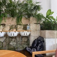 Outside area   at The Bowl Bar in Cancun