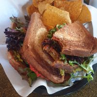 Veganator sandwich at A Daily Dose in Crested Butte
