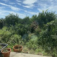   at Sunshine Walk in Jeju