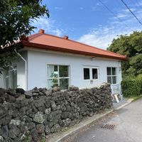   at Sunshine Walk in Jeju