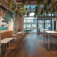  at Ma'loa in Bonn