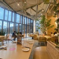  at Lotus Vegetarian 莲心 - Novena in Central Singapore